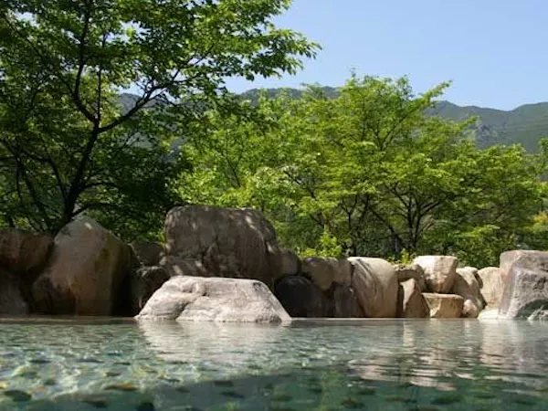 望川館イチオシ 飛騨牛1品付季節の会席料理と日本三名泉堪能のんびりプラン