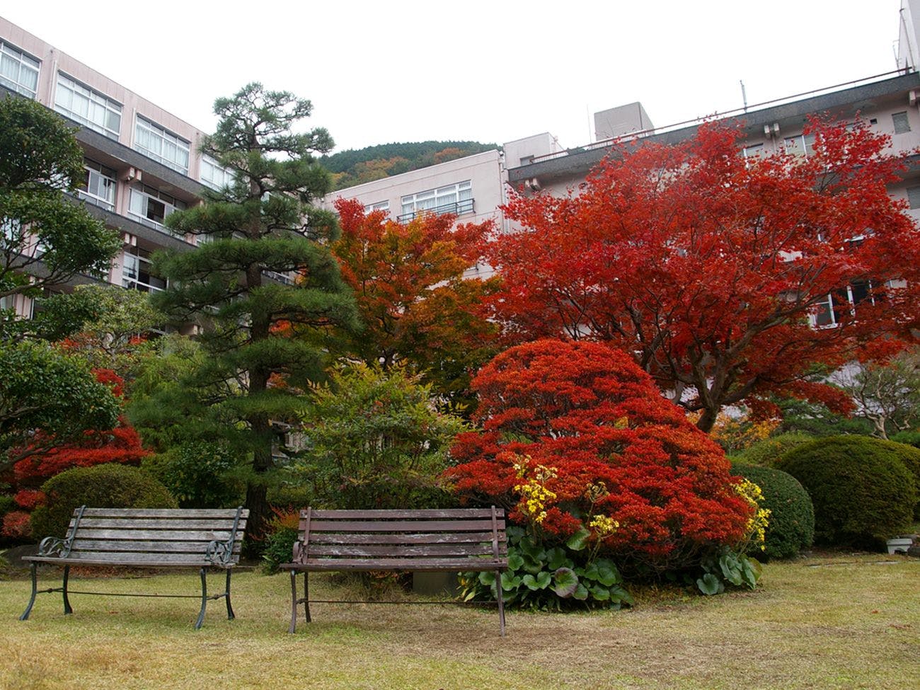 下呂温泉　望川館