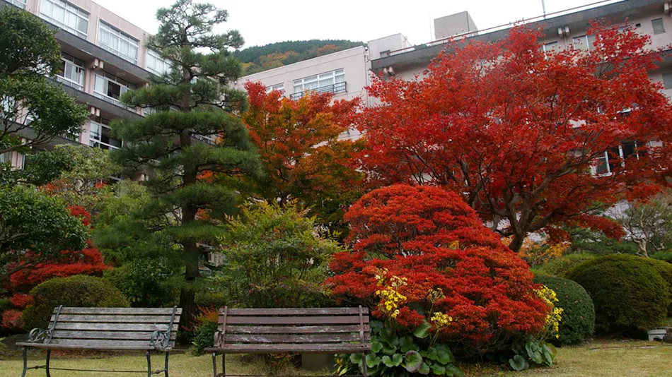 Gero Onsen Bosenkan