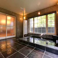 ช่วงเวลาที่ผ่อนคลายจิตใจในป่าบีชดึกดำบรรพ์.