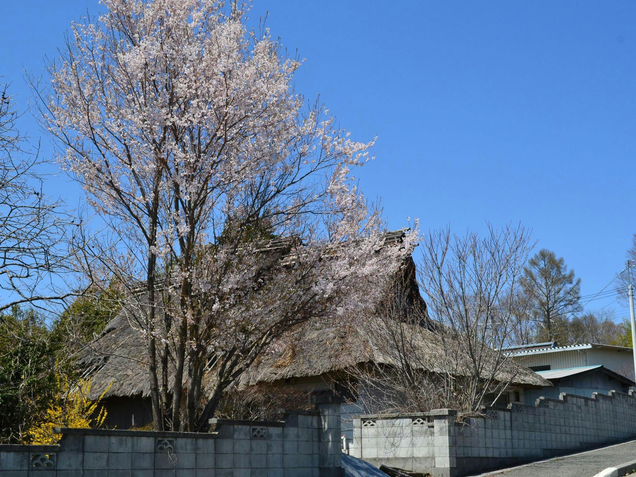八ヶ岳高原リゾート（旧：AMBIENT 八ヶ岳コテージ）