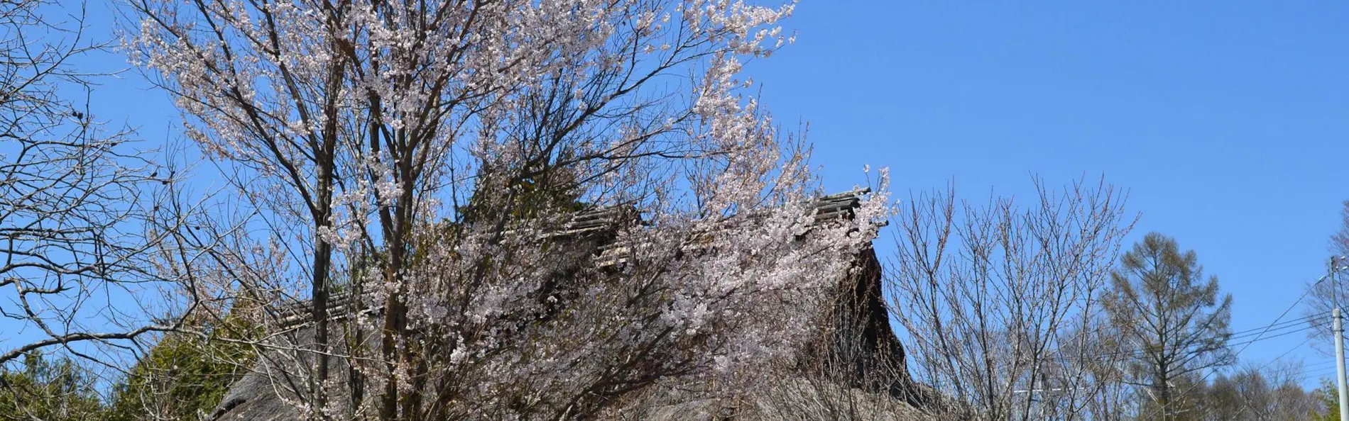 八ヶ岳高原リゾート(旧:AMBIENT 八ヶ岳コテージ)