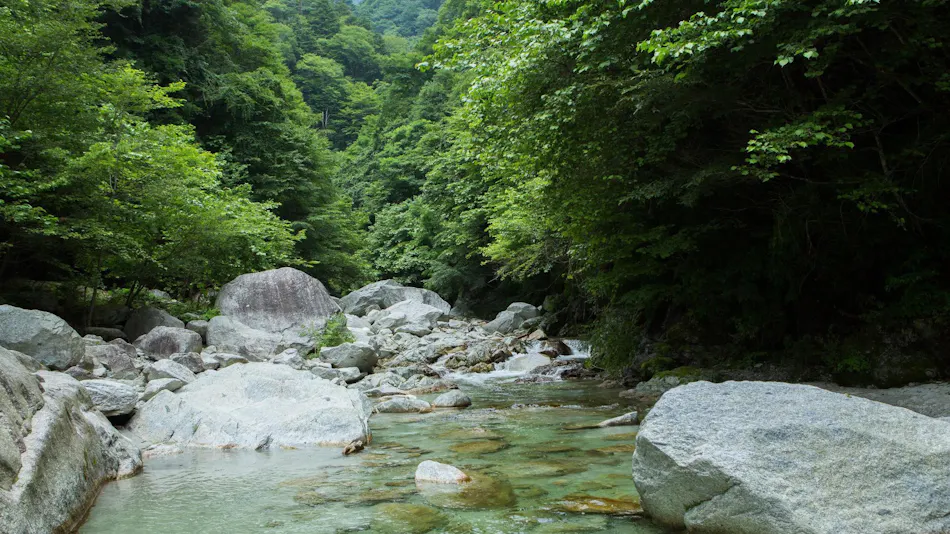 YATSUGATAKE KOGEN RESORT