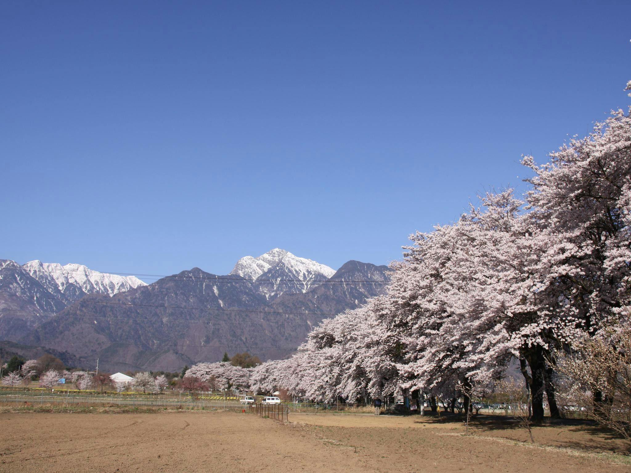 八ヶ岳高原リゾート（旧：AMBIENT 八ヶ岳コテージ）