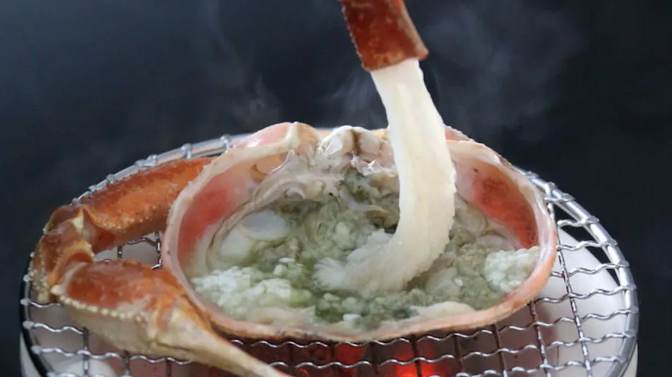 Fukumitsu Hanayama Onsen
