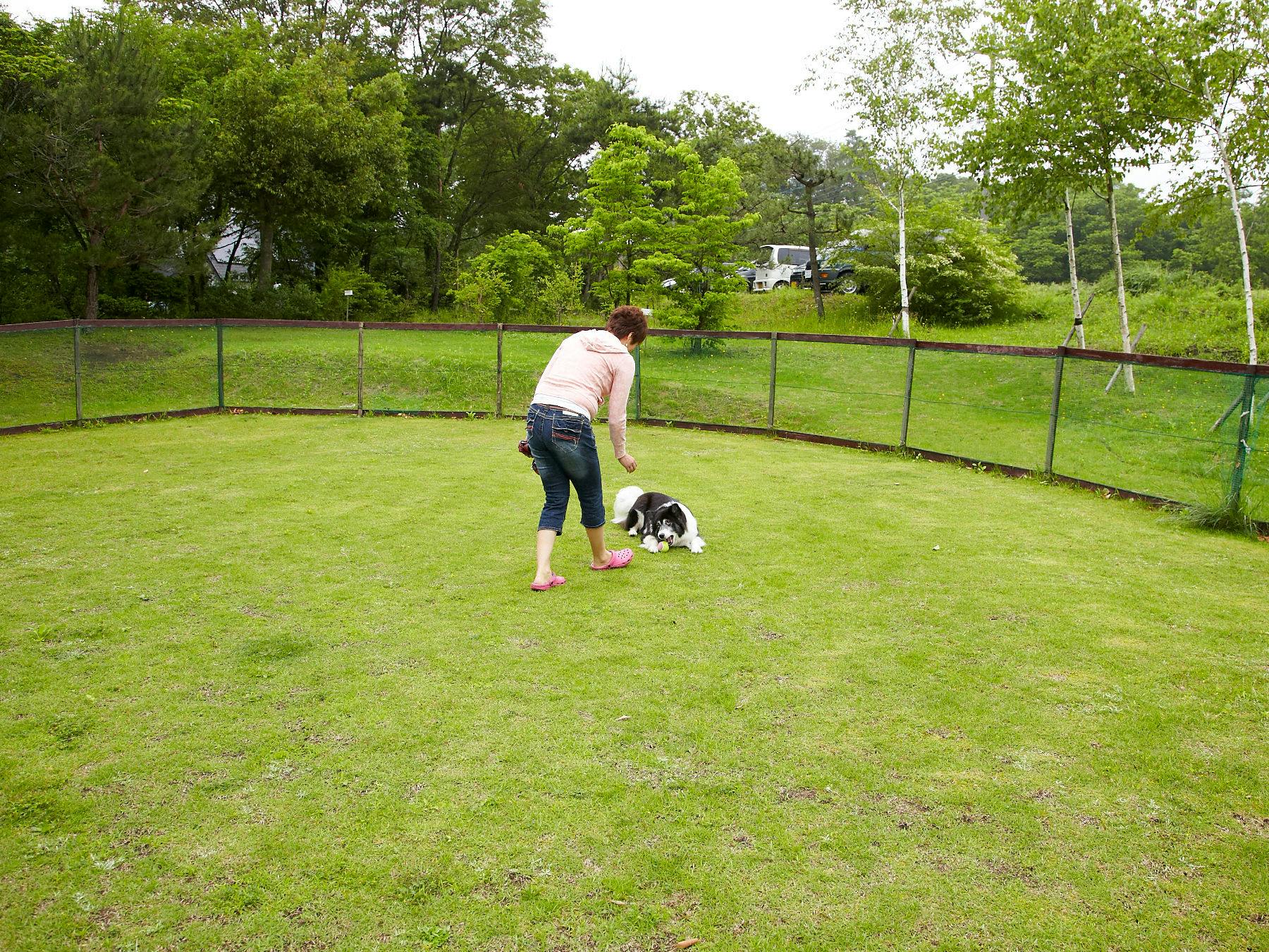 สวนสุนัข