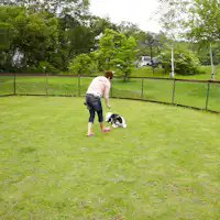 สวนสุนัข