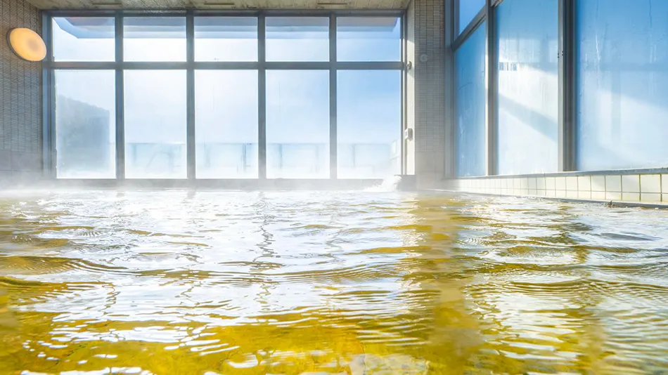 Watari Onsen Tori no Umi