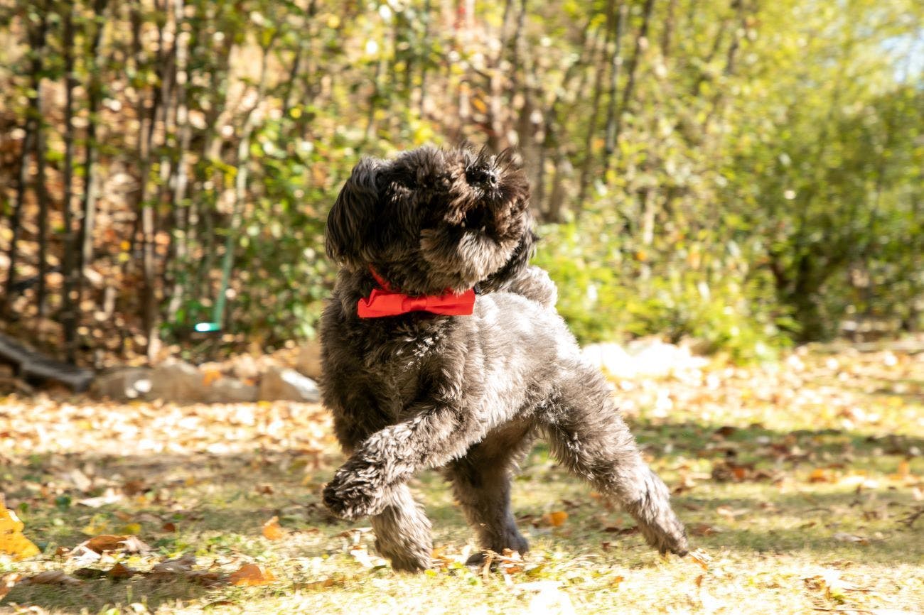 Irori no Yuyado Bettei Fujiya