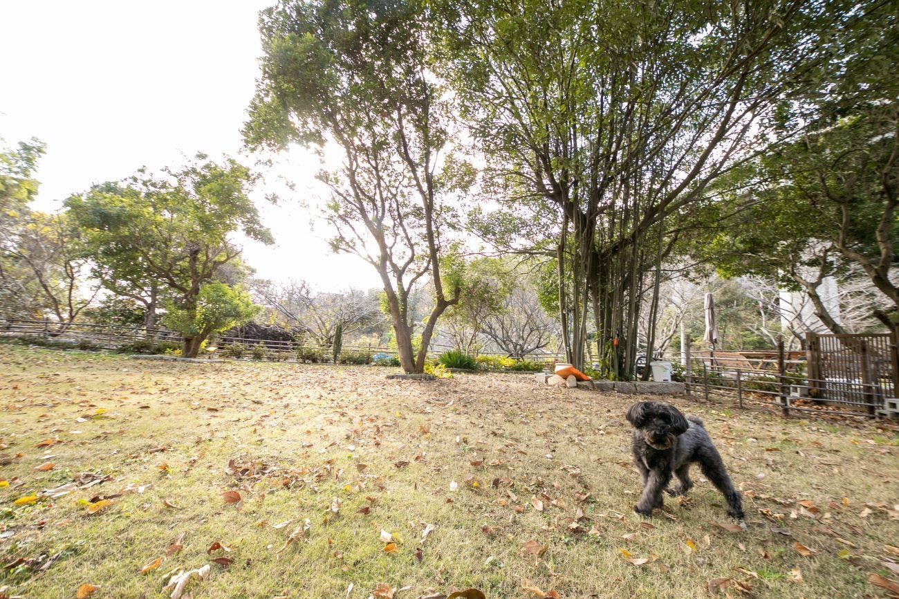 Irori no Yuyado Bettei Fujiya