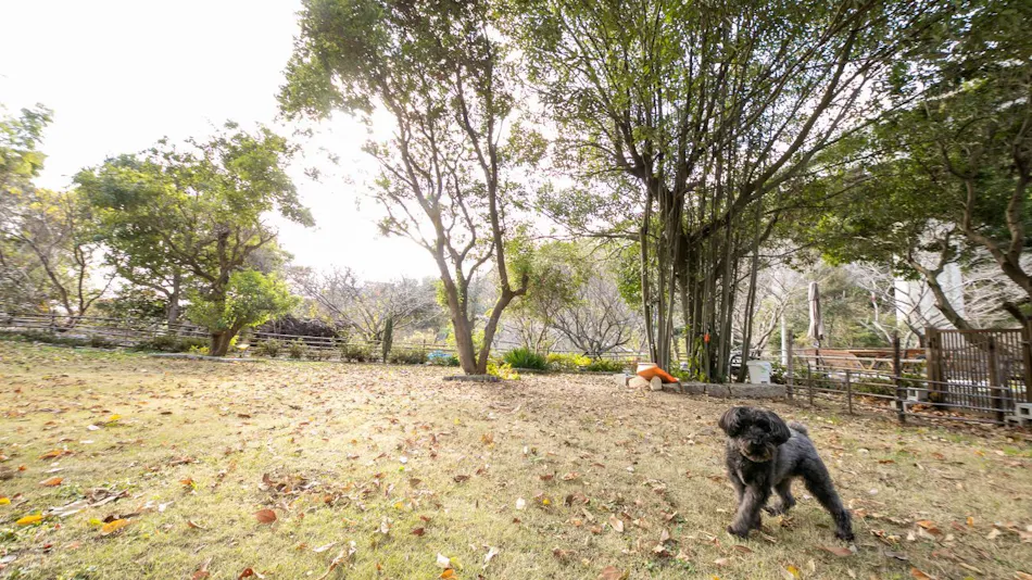 Irori no Yuyado Bettei Fujiya