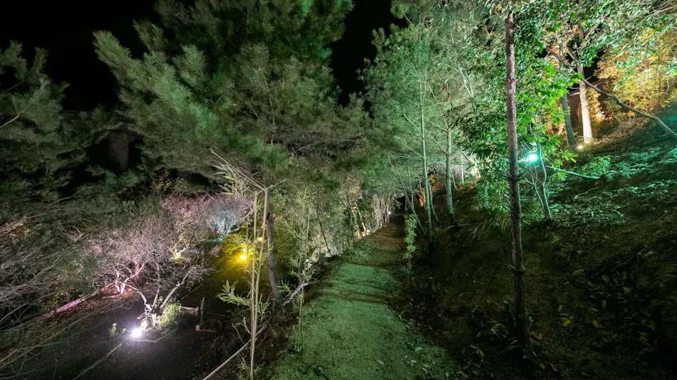 Irori no Yuyado Bettei Fujiya