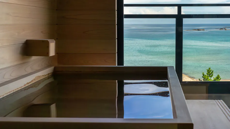 Seaside Satake