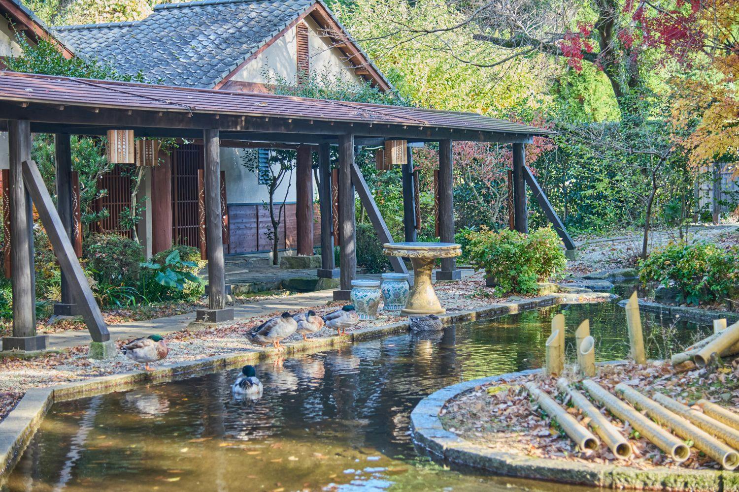 南阿蘇俵山温泉　旅館　竹楽亭