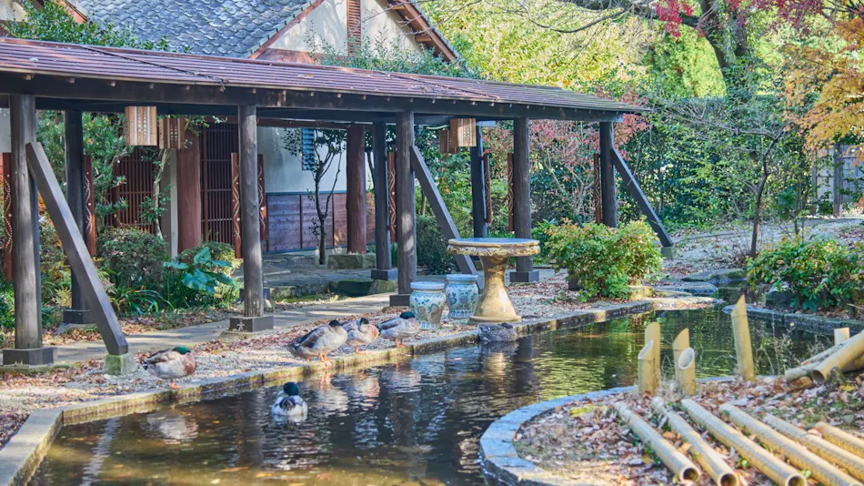 Minami Aso Tawarayama Onsen Ryokan Chikurakutei