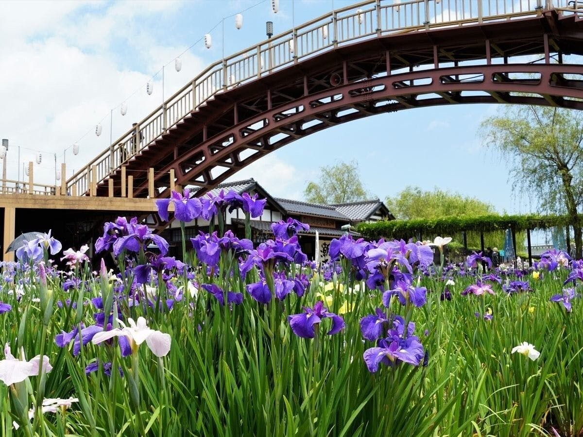 Taman Iris Suigo Itako