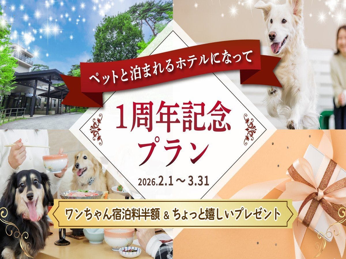 1周年記念プラン