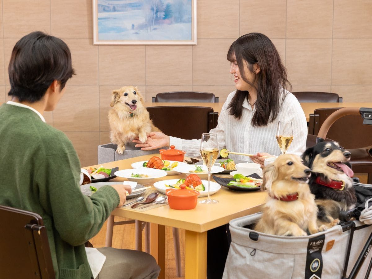 夕食イメージ