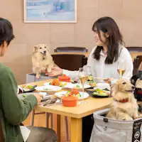 夕食イメージ