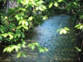 葵 KYOTO STAY