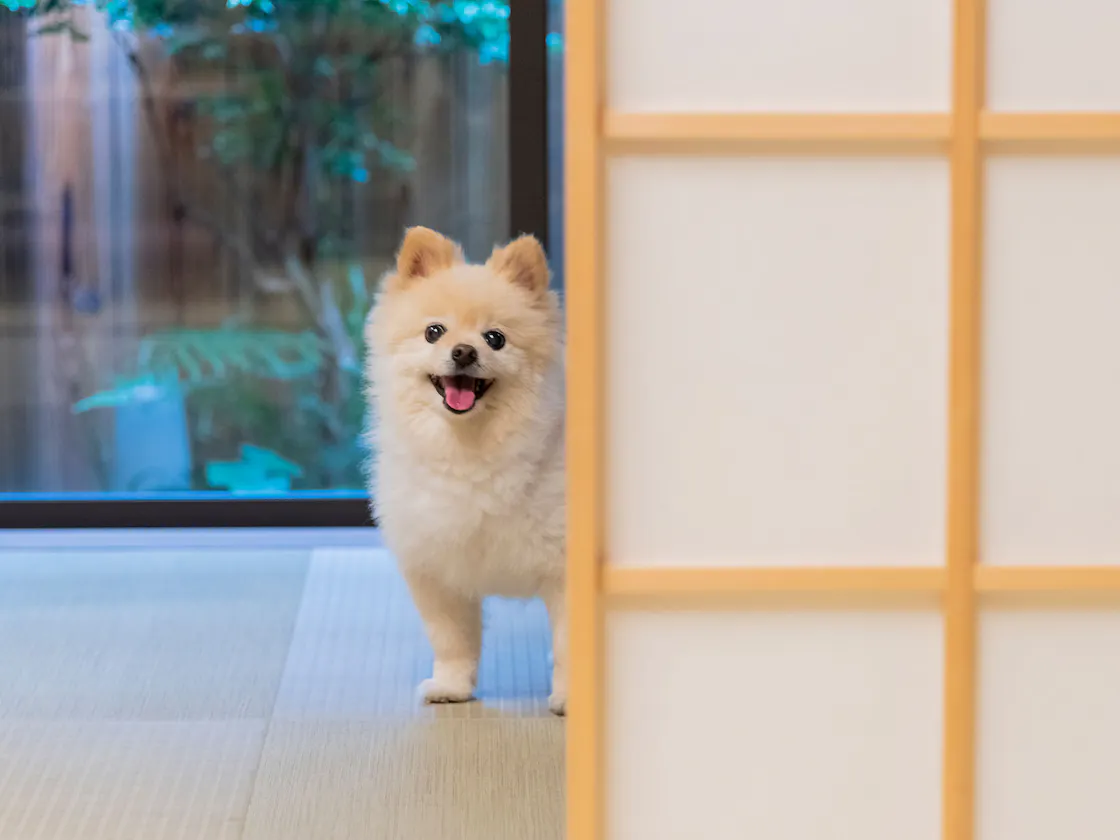 一条かりん居間