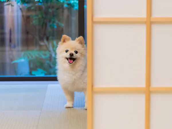 一条かりん居間