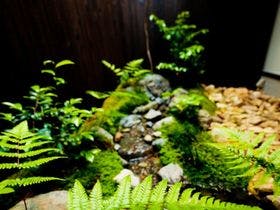 京の片泊まり　竹間つゆくさ庵