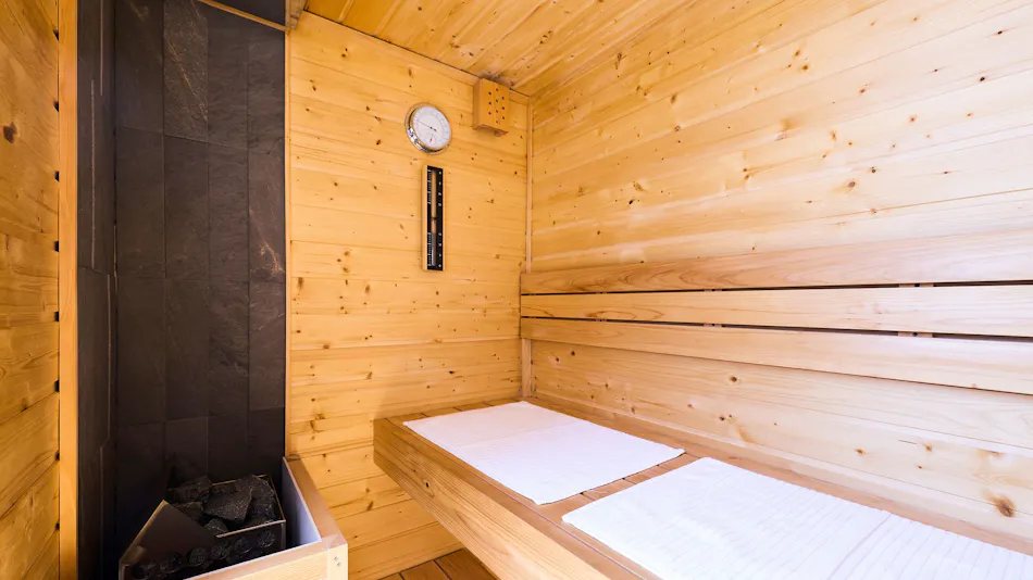 Beds and Dog Run