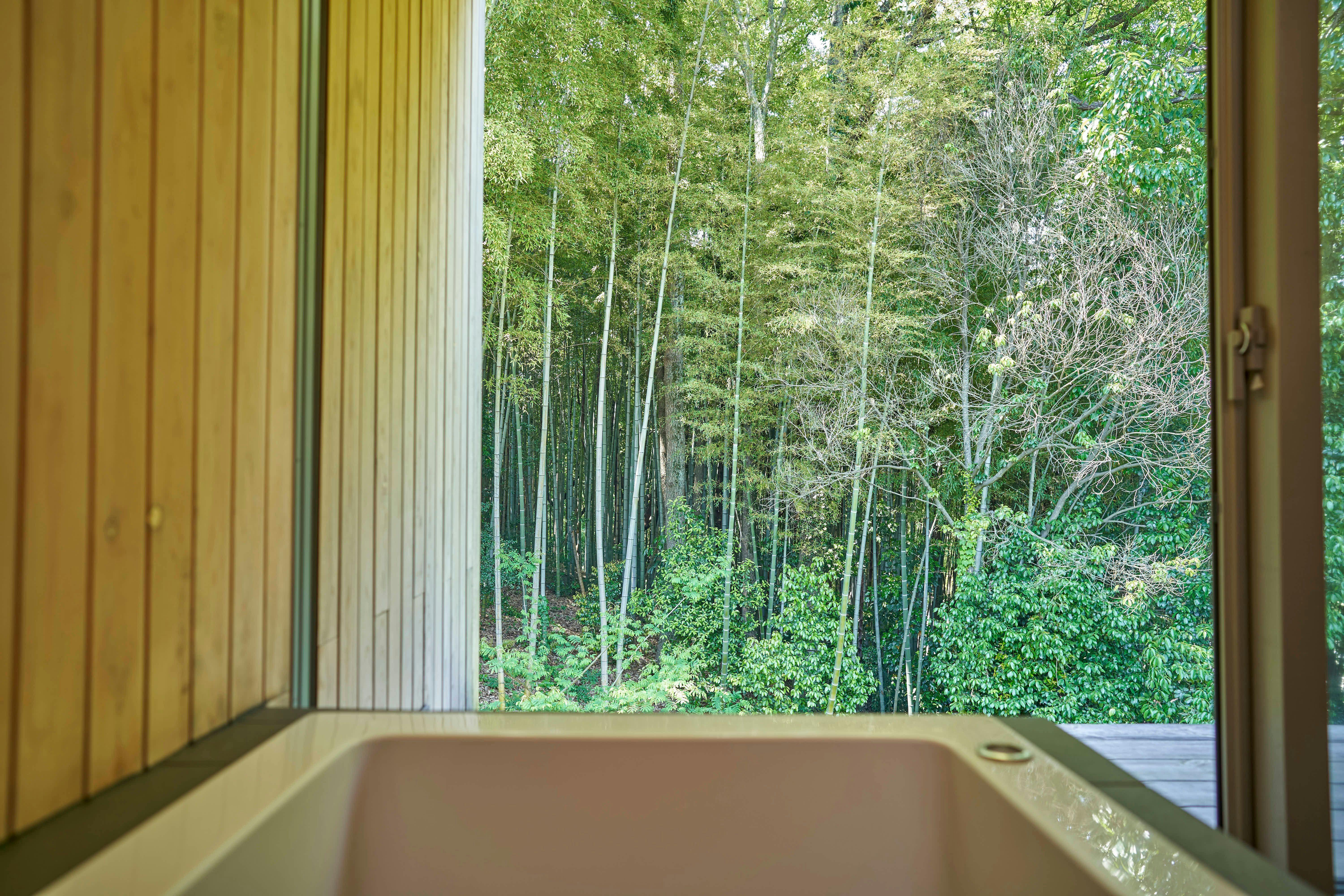 Pemandangan dari kamar mandi