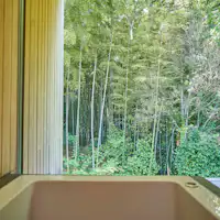 Pemandangan dari kamar mandi