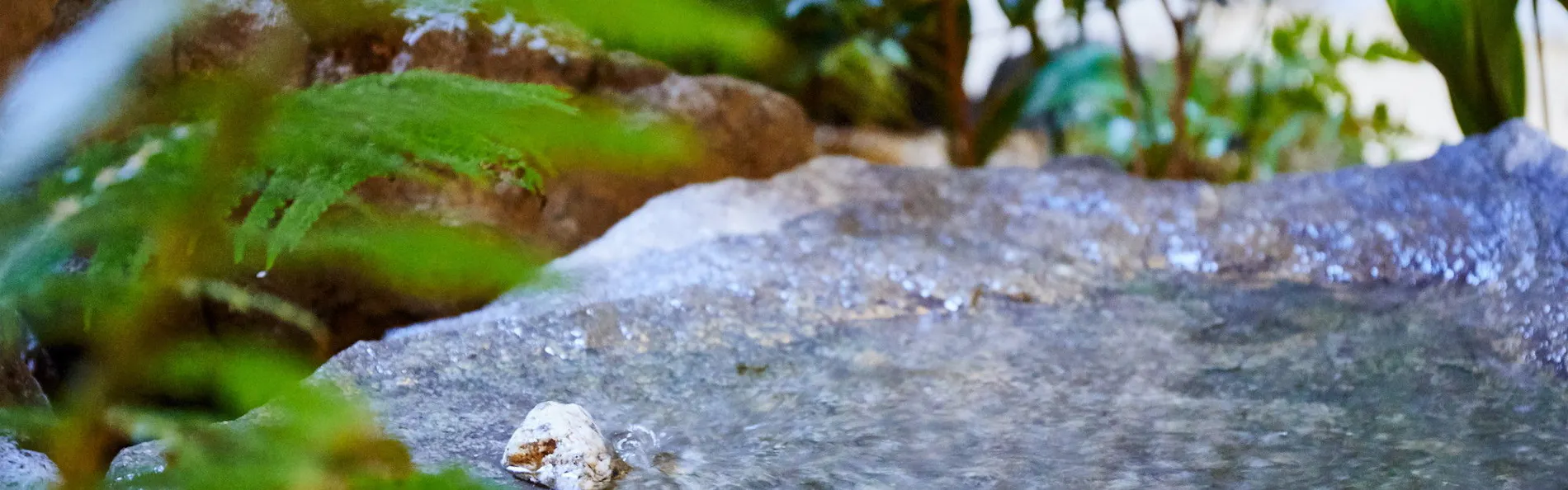 Sunrise Suites(サンライズ スイーツ)