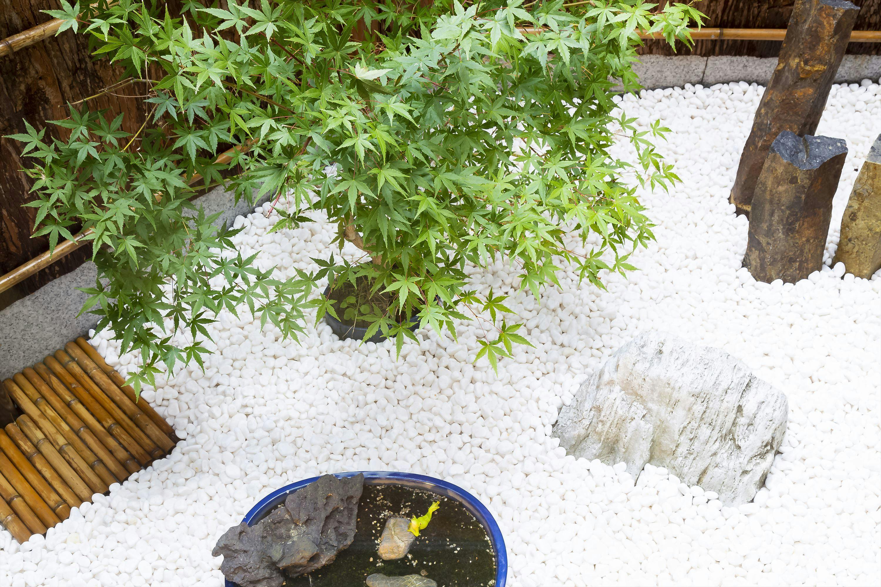 ひがしやま 祥、