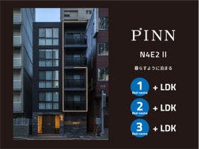 PINN?N4E2?II