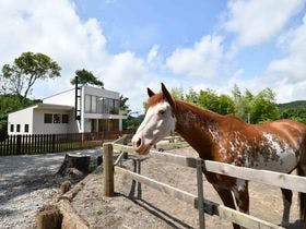 【千葉県館山・南房総エリアの貸別荘・コテージ】フォレストヴィラ南総の丘