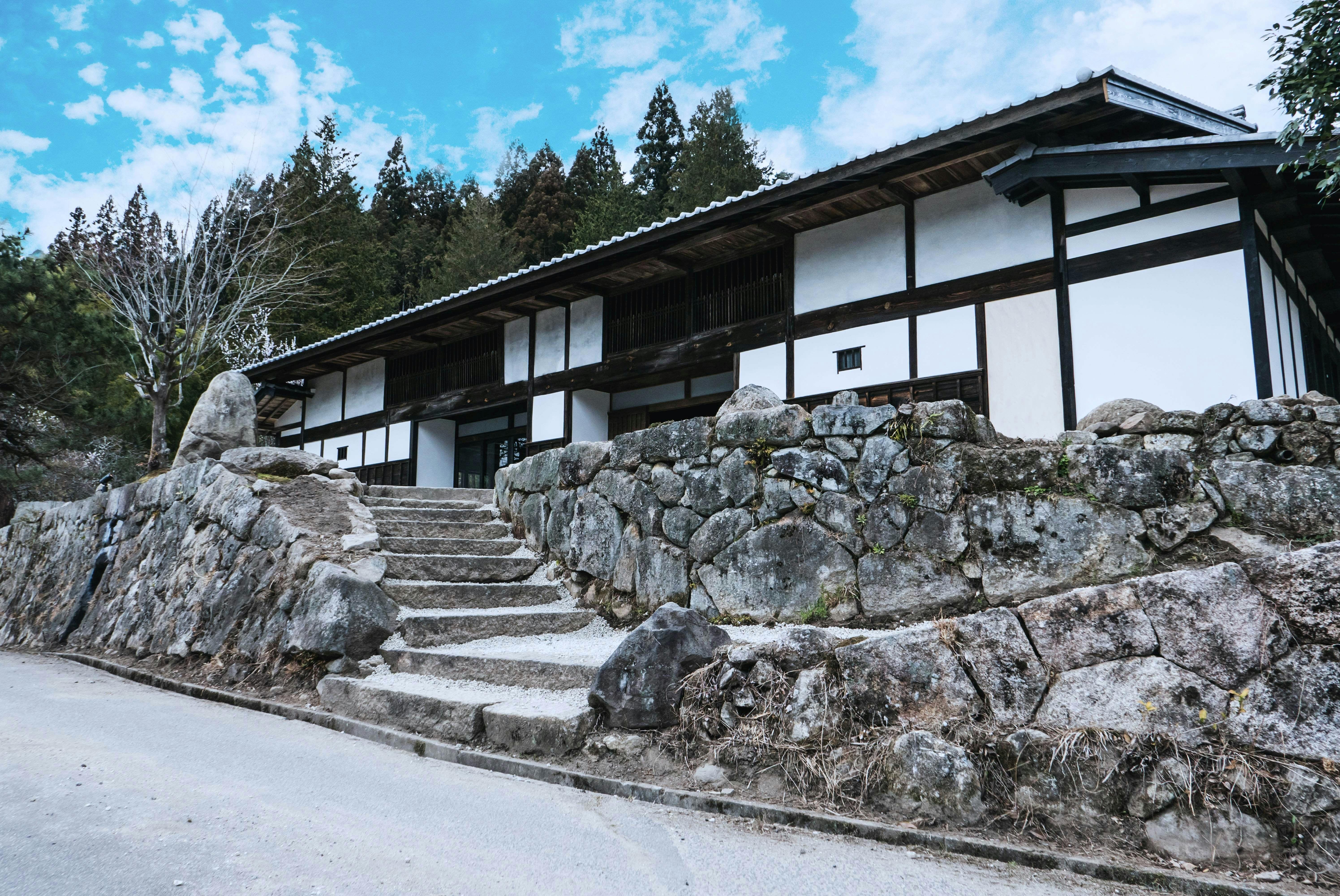 Zenagi