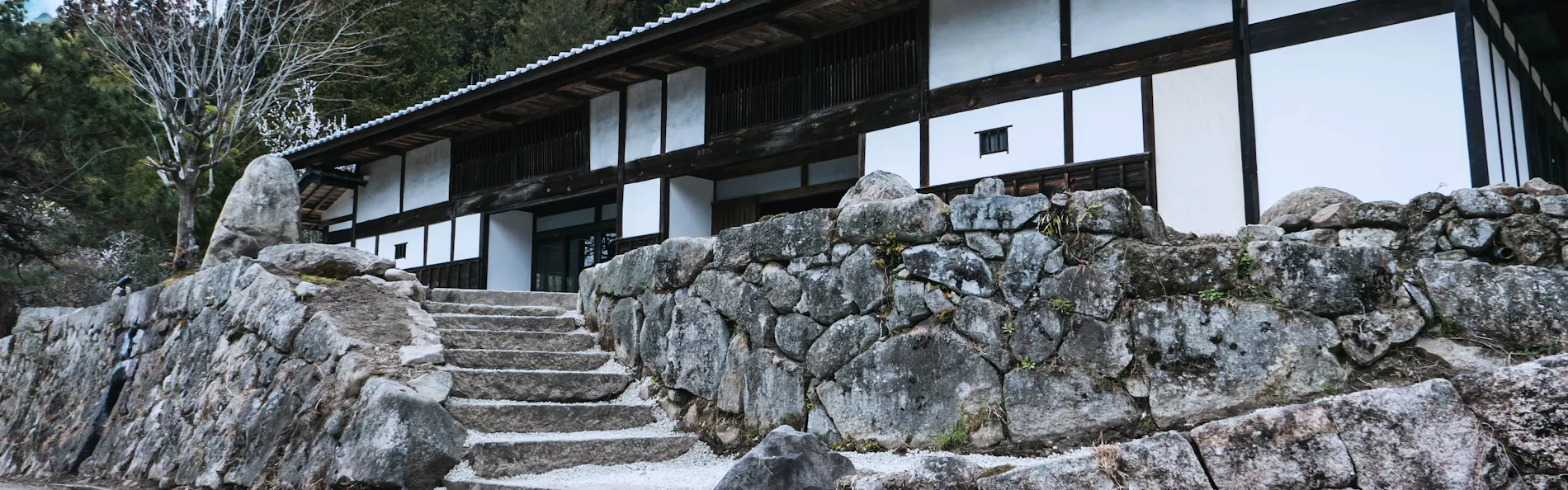 Zenagi