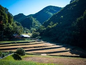 せとうち古民家ステイズＨｉｒｏｓｈｉｍａ　不老仙