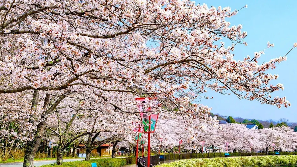 Setouchi Kominka Stays Hiroshima Furousen