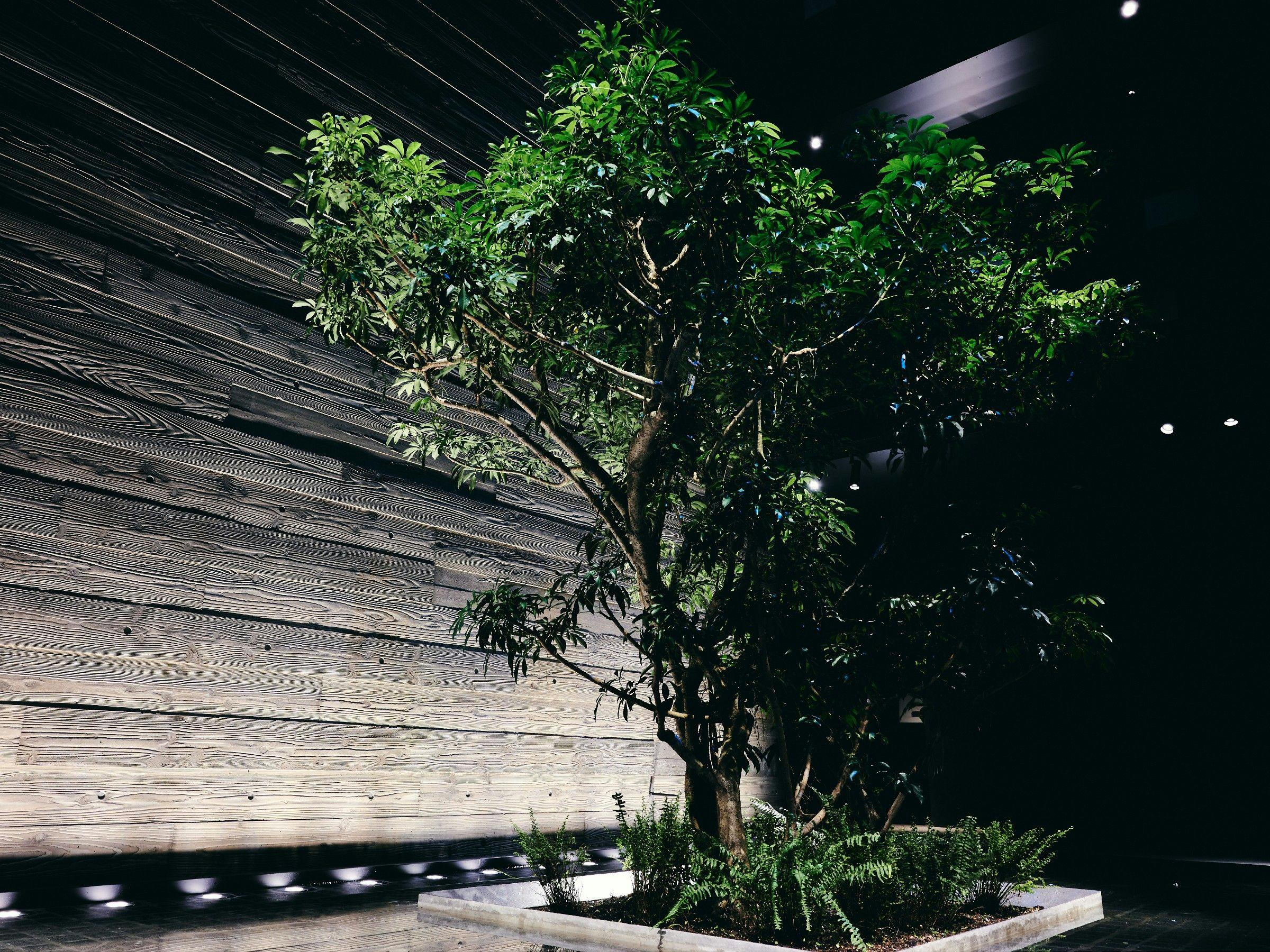 nol kyoto sanjo（東急リゾーツ＆ステイ）