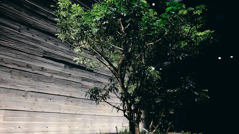 nol kyoto sanjo (Tokyu Resorts & Stay)