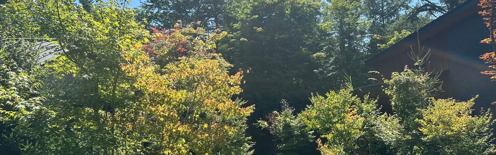 GREENSEED軽井沢