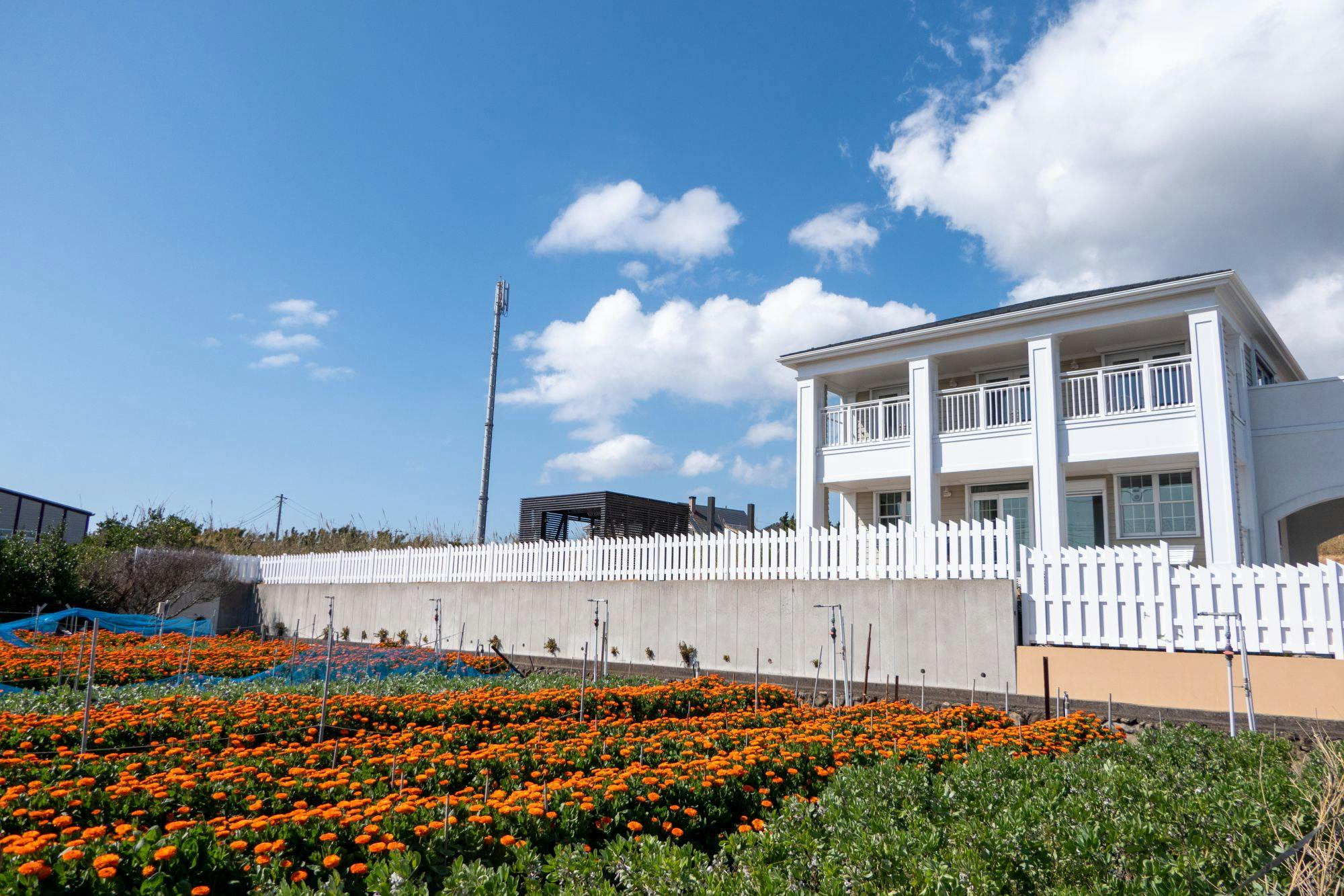 コスタブランカに家族4人で泊まってみた