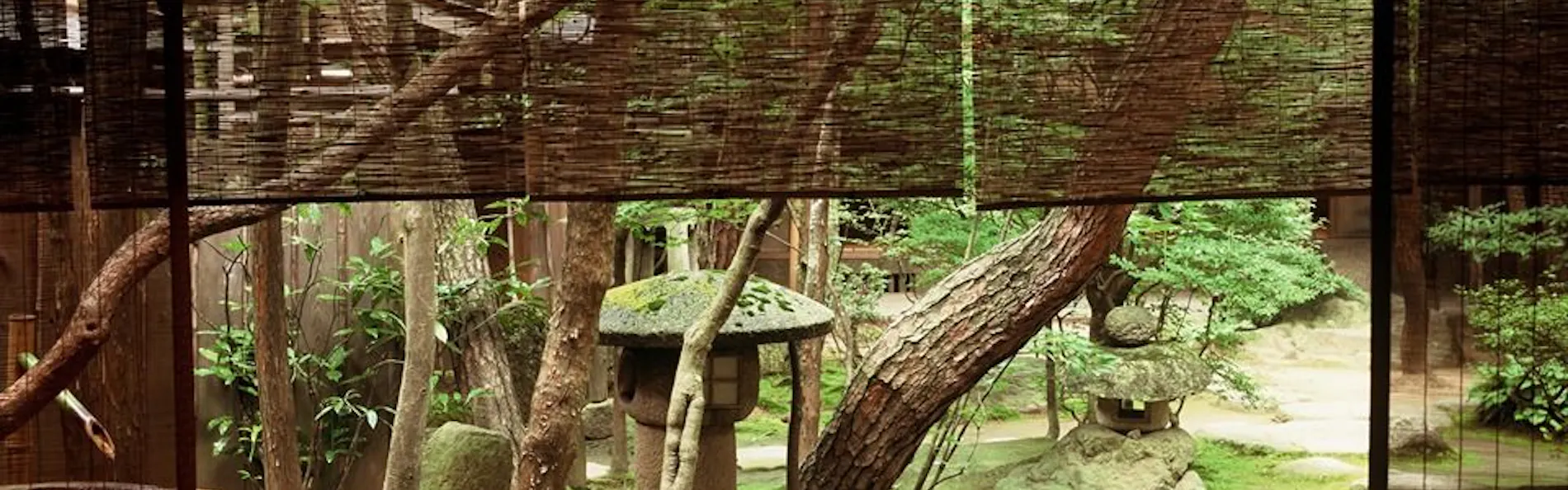 すみや 青花