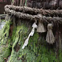 เส้นทางเดินเล่นฮิกาชิยามะ