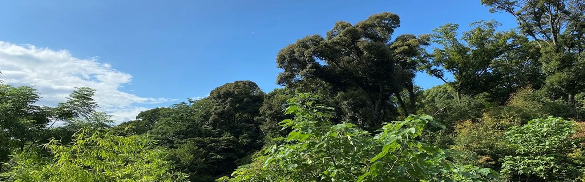 清閑寺池田倶楽部