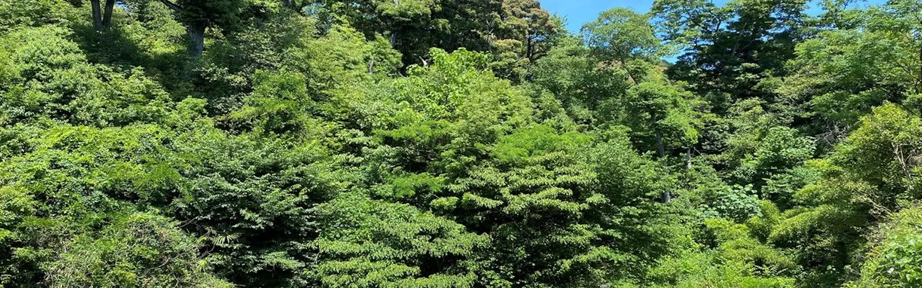 清閑寺池田倶楽部