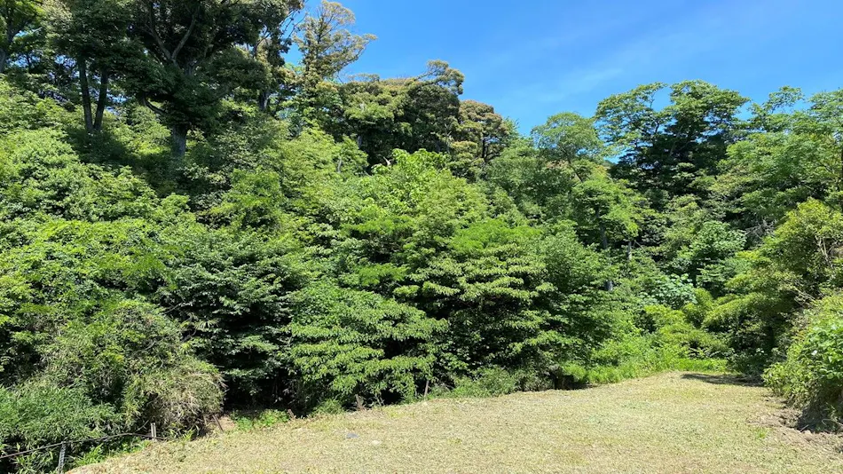 Seikanji Ikeda Club
