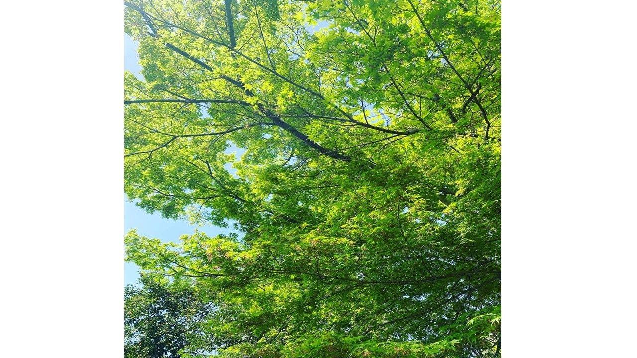 清閑寺池田倶楽部