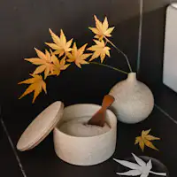 Maana Kyoto