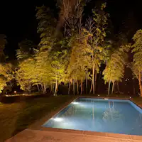 庄屋の里たなか 竹林とナイトプール